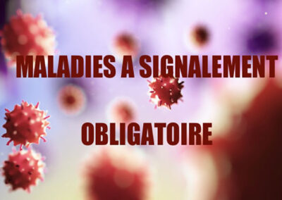 Maladies à signalement obligatoire : mise à jour