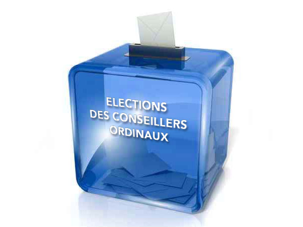 Elections des conseillers ordinaux 2024
